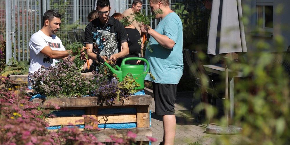 Wohnverbund - Gartenarbeit