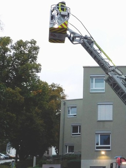 Hoch hinaus. (vergrößerte Bildansicht wird geöffnet)
