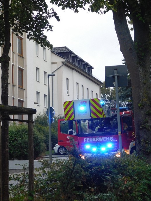 Das Feuerwehrauto rauscht an. (vergrößerte Bildansicht wird geöffnet)