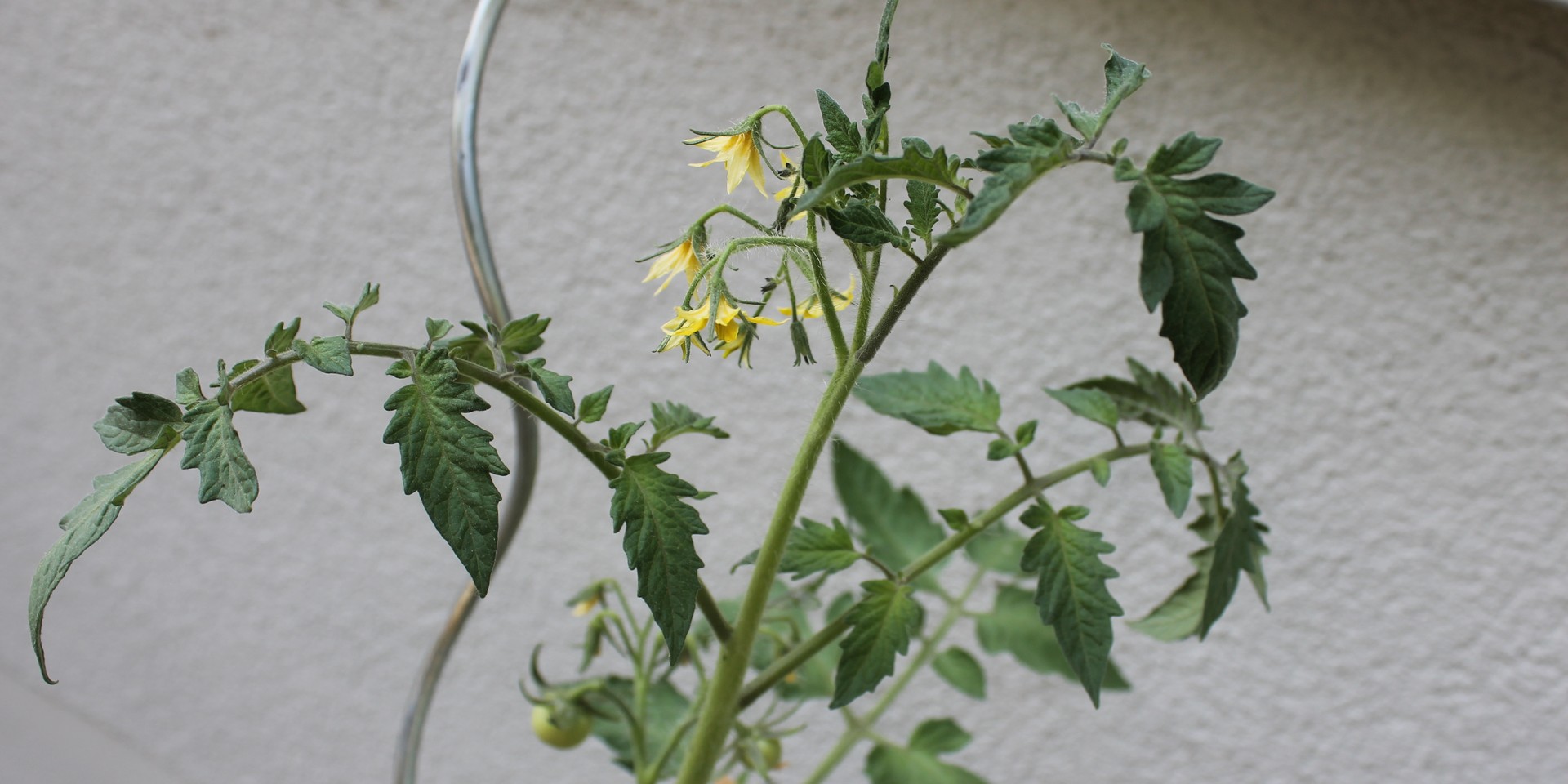 lwl Marsberg im Garten